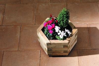 Hexagonal Planter image